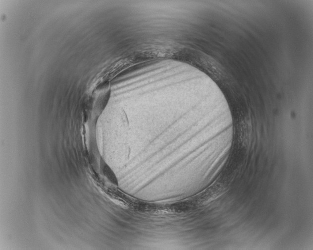 X0000053150594200508012312