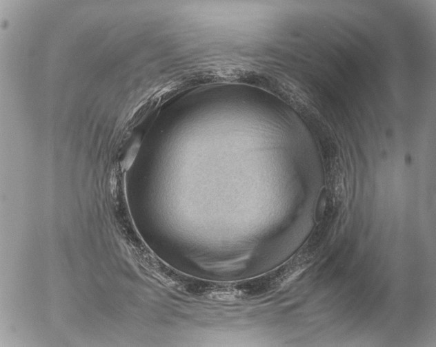 X0000053150595200508012312