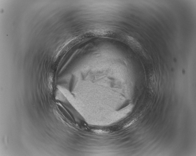 X0000053150596200508012312