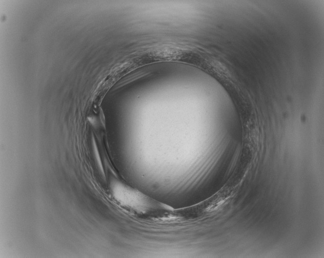 X0000053150597200508012312