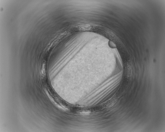 X0000053150598200508012312