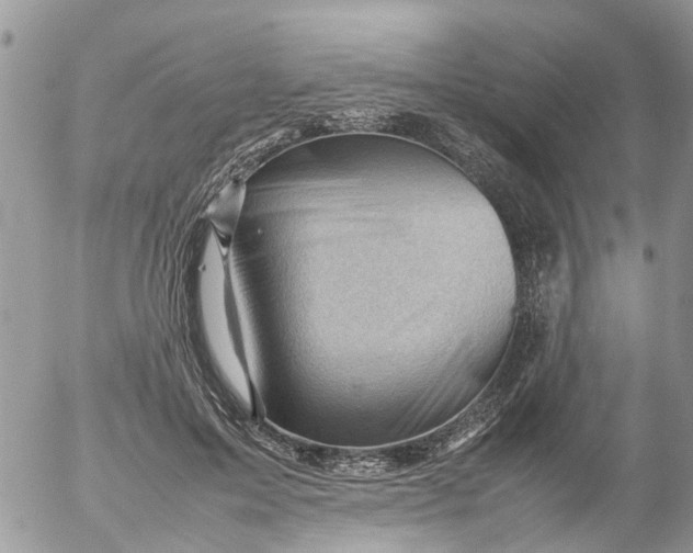 X0000053150599200508012312