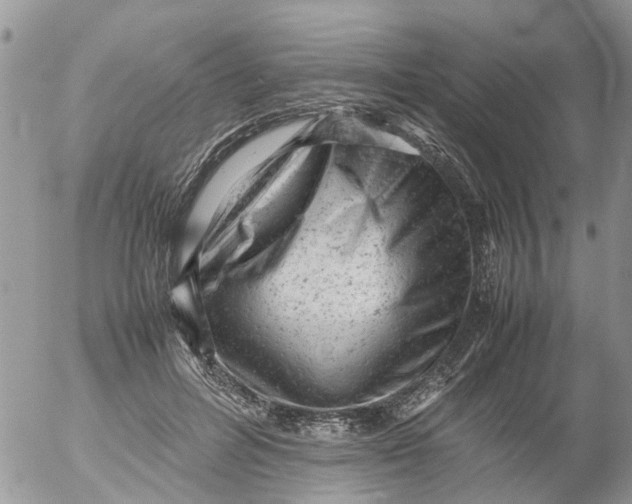 X0000053150600200508012312