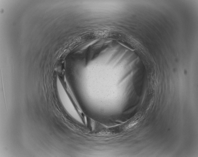 X0000053150601200508012312