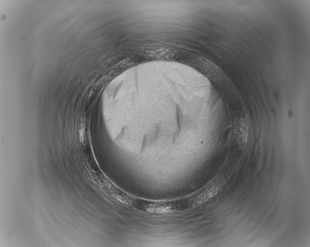 X0000053150602200508012312