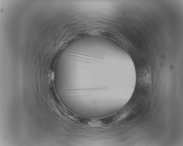 X0000053150603200508012312