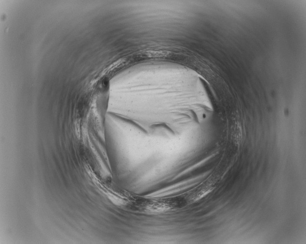 X0000053150604200508012312