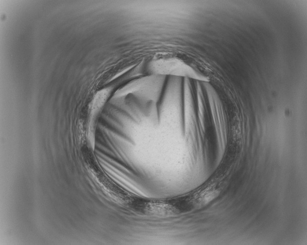 X0000053150605200508012311