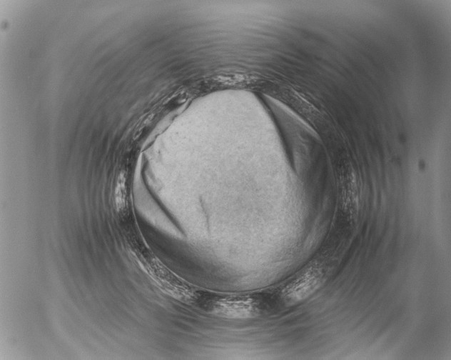 X0000053150606200508012311