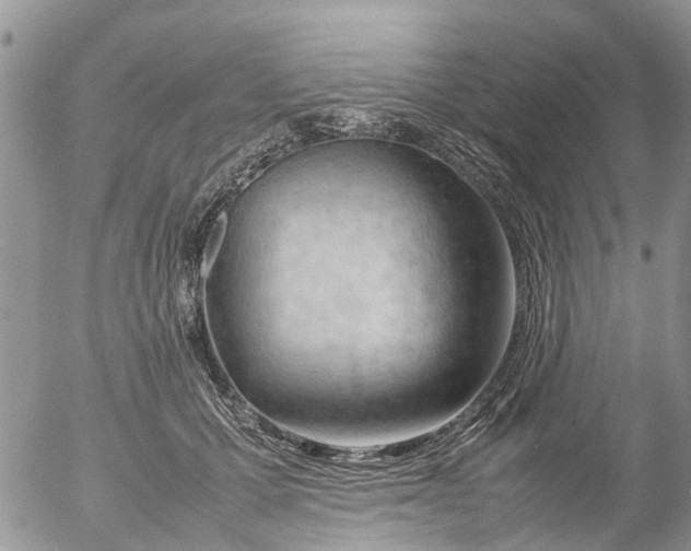 X0000053150607200508012311