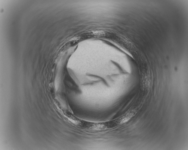 X0000053150609200508012311