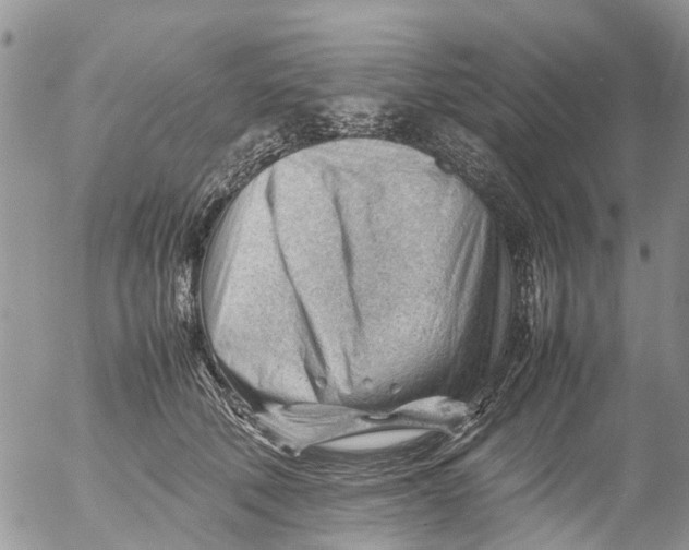 X0000053150610200508012311