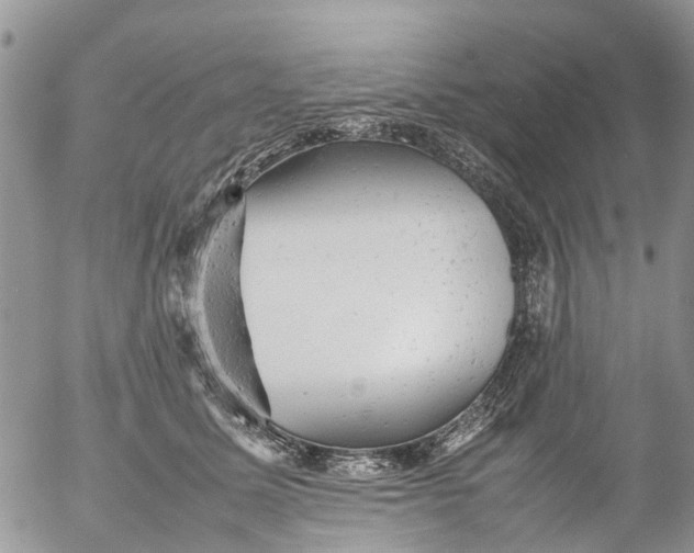 X0000053150611200508012311