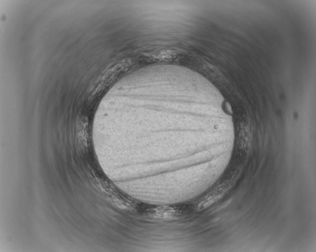 X0000053150612200508012311