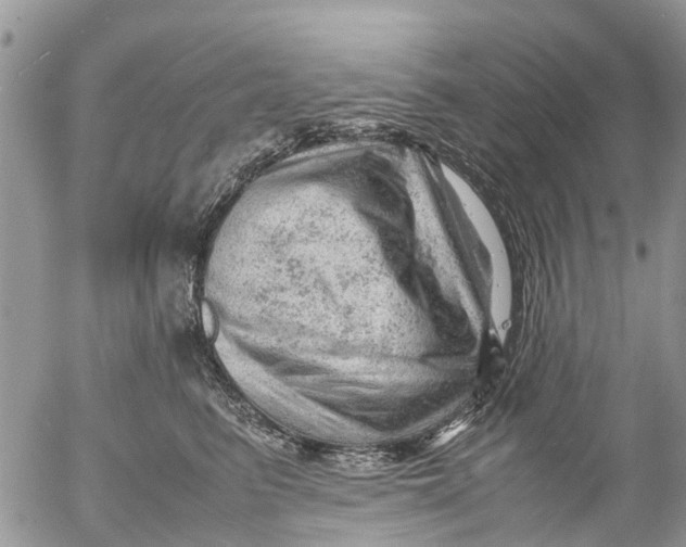 X0000053150615200508012311