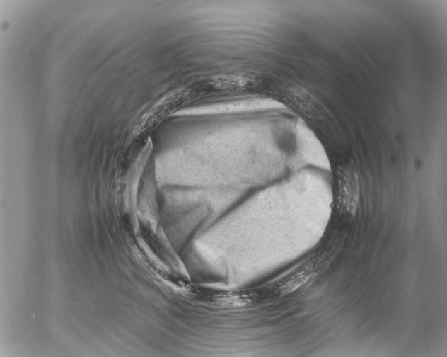 X0000053150616200508012311