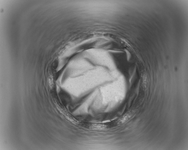 X0000053150617200508012311