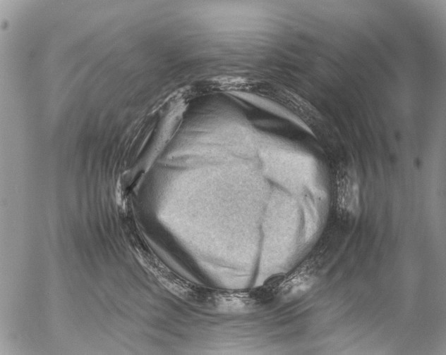 X0000053150618200508012311