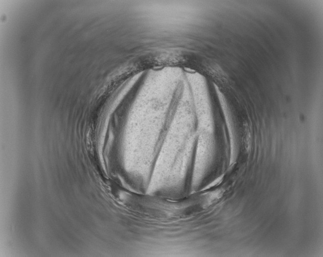 X0000053150619200508012311