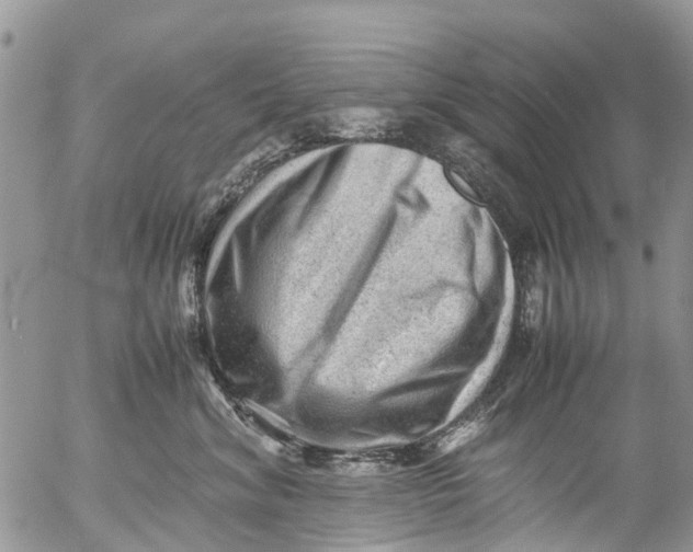 X0000053150620200508012311