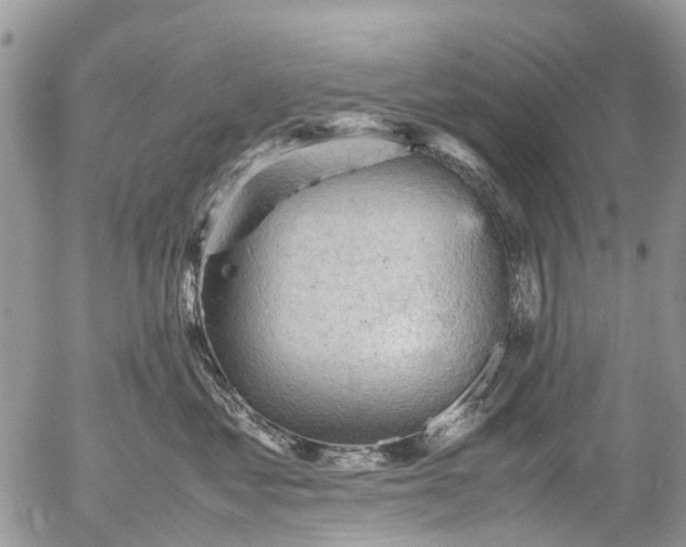 X0000053150621200508012311