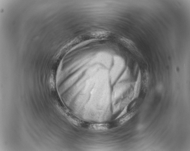 X0000053150622200508012311