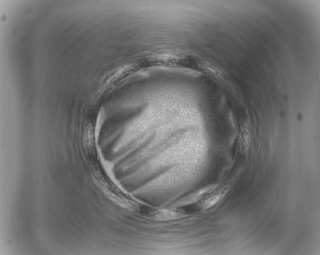 X0000053150623200508012311