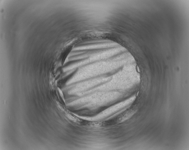 X0000053150624200508012311