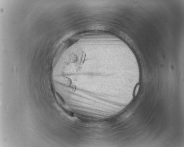 X0000053150625200508012310