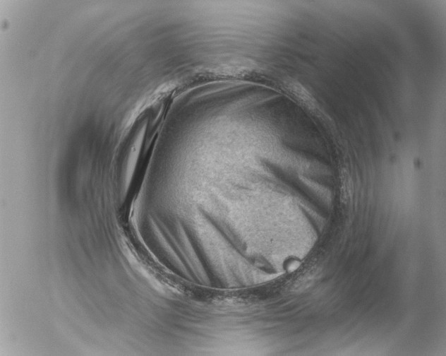 X0000053150634200508012311