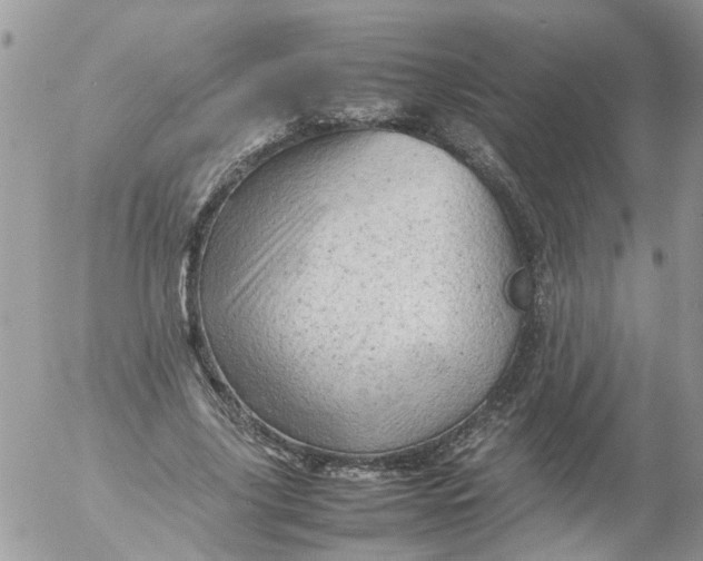 X0000053150635200508012311