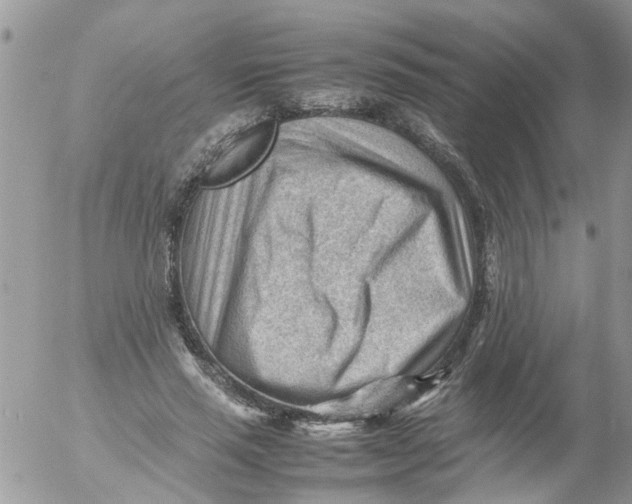 X0000053150637200508012311