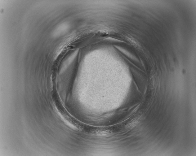 X0000053150638200508012311