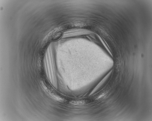 X0000053150639200508012311