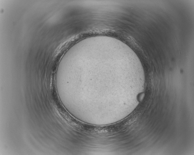 X0000053150640200508012311