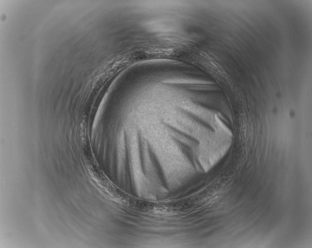 X0000053150641200508012311