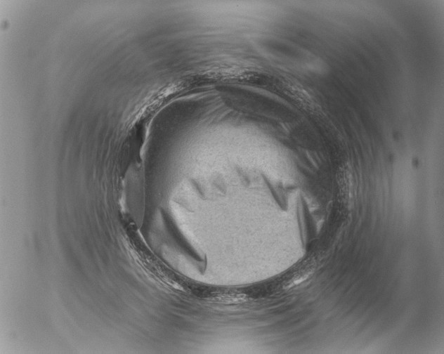 X0000053150642200508012311