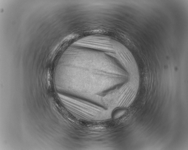 X0000053150643200508012311