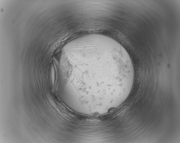 X0000053150644200508012311