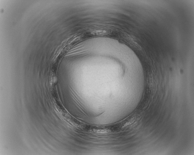 X0000053150645200508012311