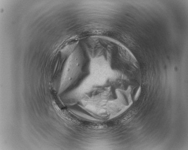 X0000053150646200508012311