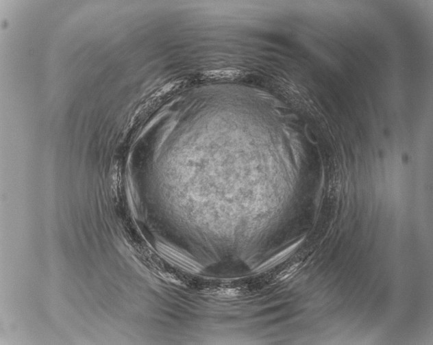 X0000053150647200508012311