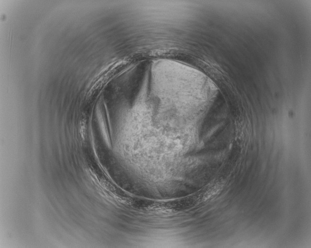 X0000053150648200508012311