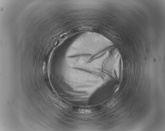 X0000053150649200508012311