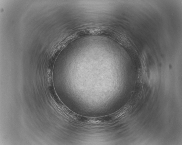 X0000053150650200508012311