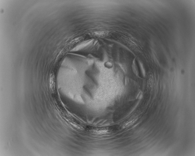 X0000053150651200508012311