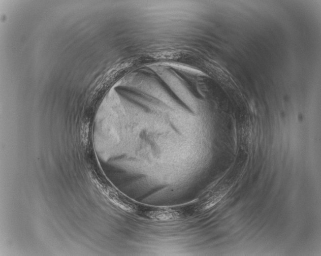 X0000053150652200508012311