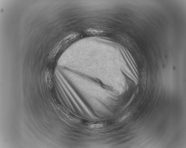 X0000053150653200508012311