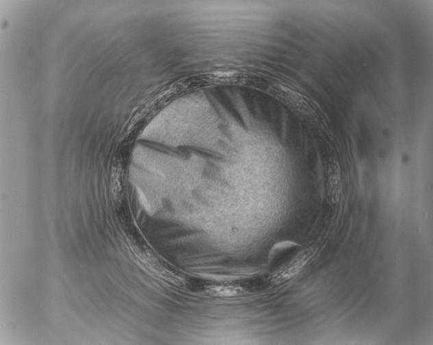 X0000053150654200508012311