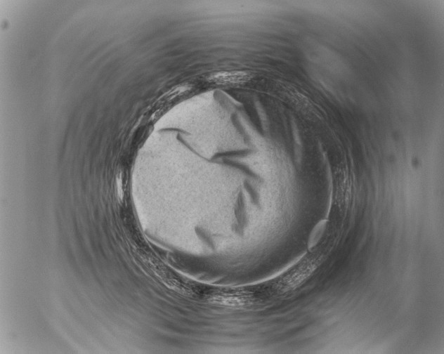 X0000053150655200508012311